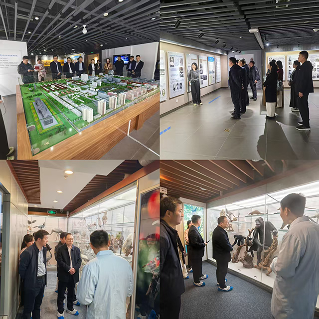 世界杯赛事官网