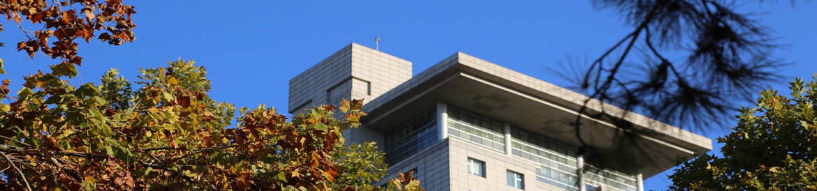 世界杯赛事官网